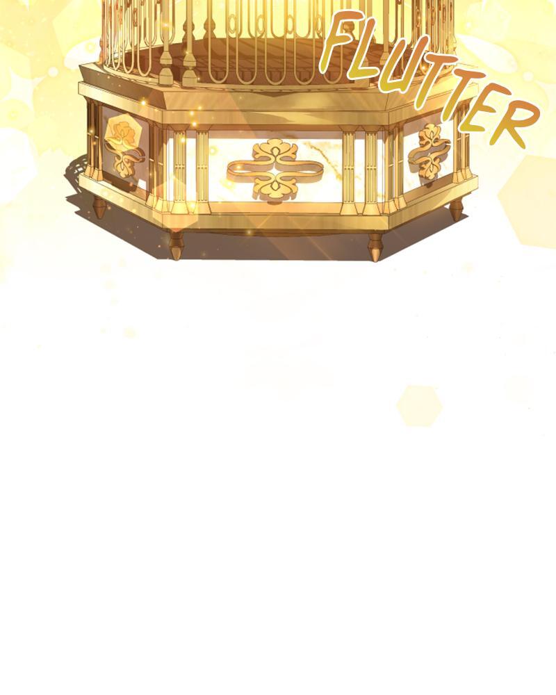 Read The Fateful Invitation Manga Online