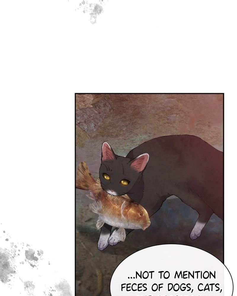 Read The Fateful Invitation Manga Online