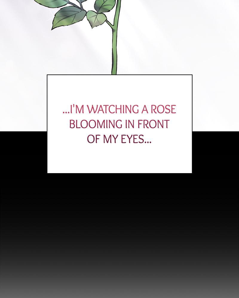 Read The Fateful Invitation Manga Online