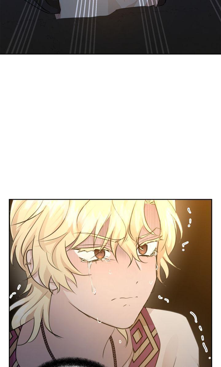 Read The Golden Forest Manga Online