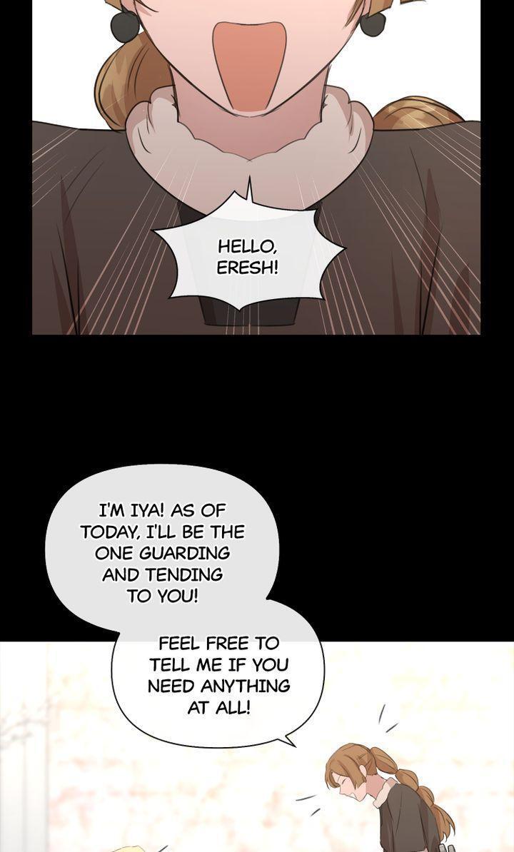 Read The Golden Forest Manga Online