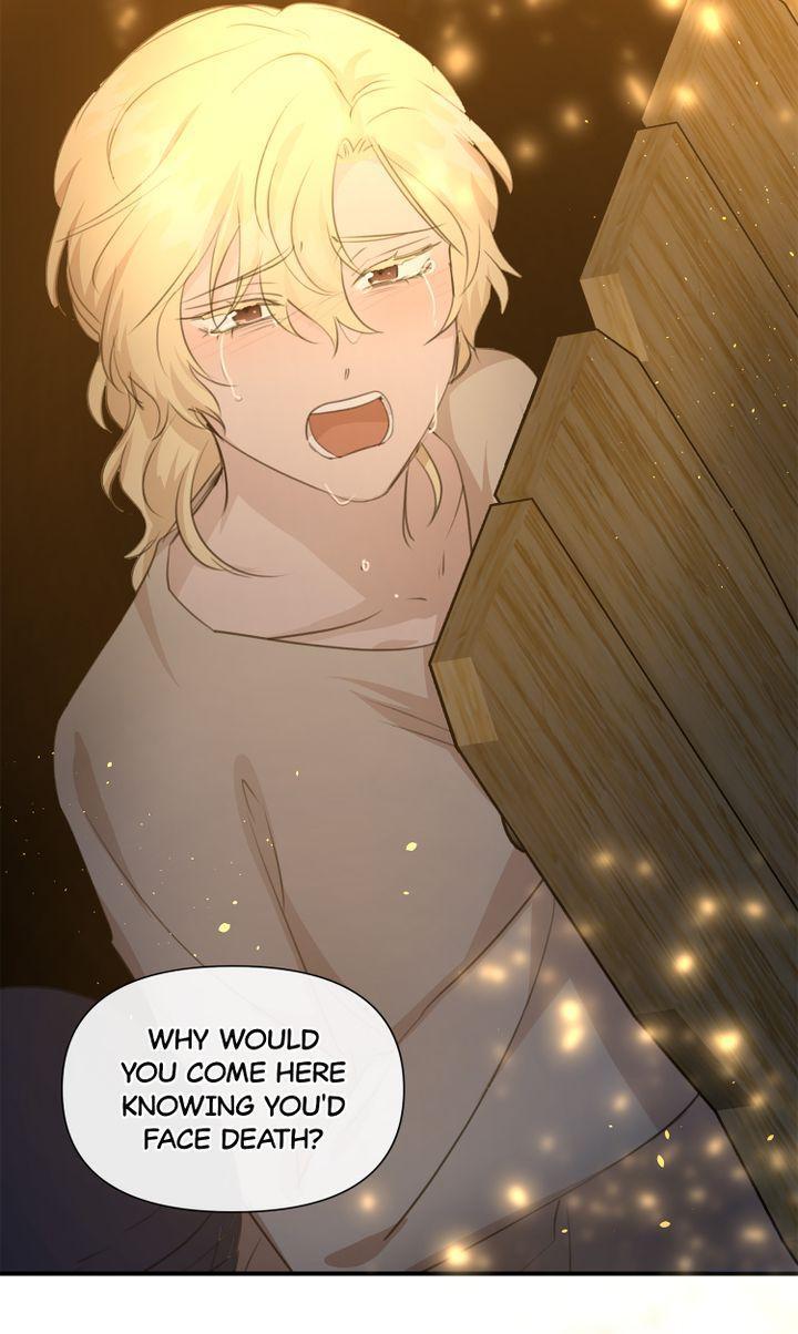 Read The Golden Forest Manga Online