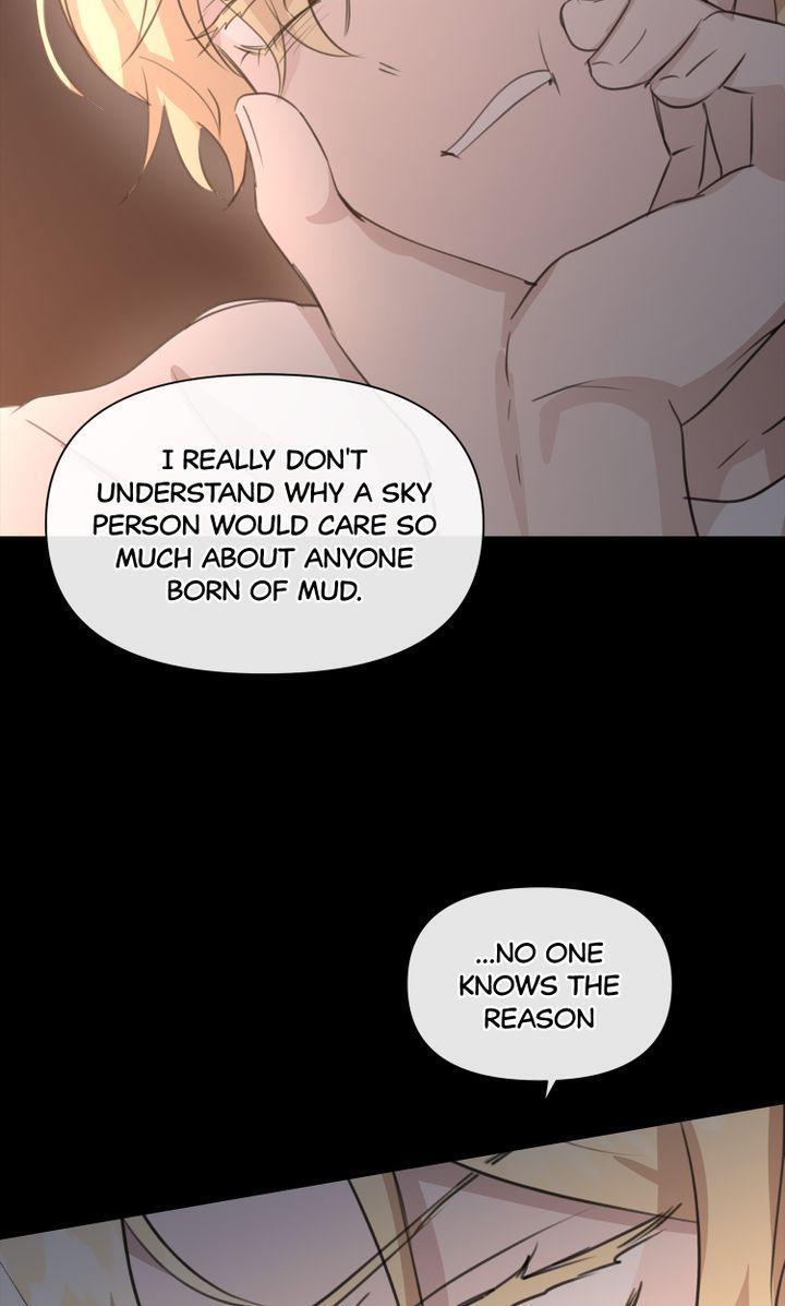 Read The Golden Forest Manga Online