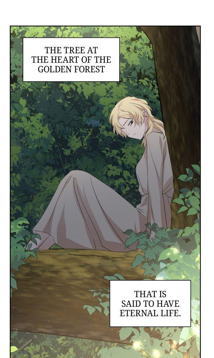 Read The Golden Forest Manga Online