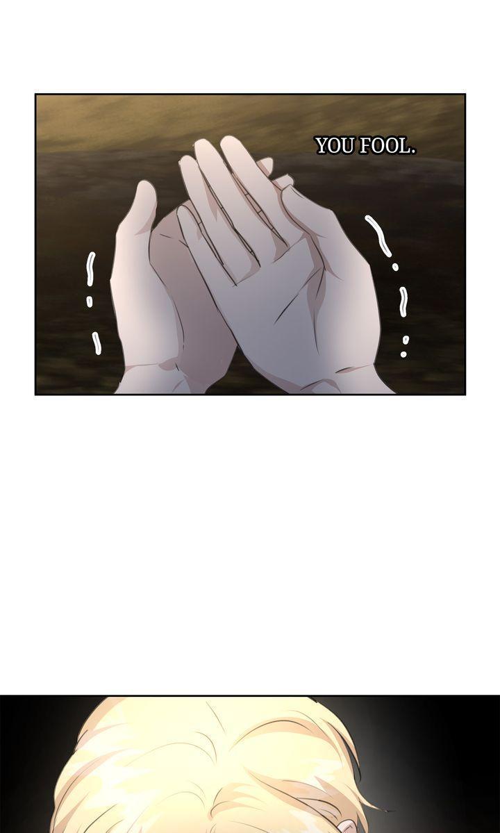 Read The Golden Forest Manga Online