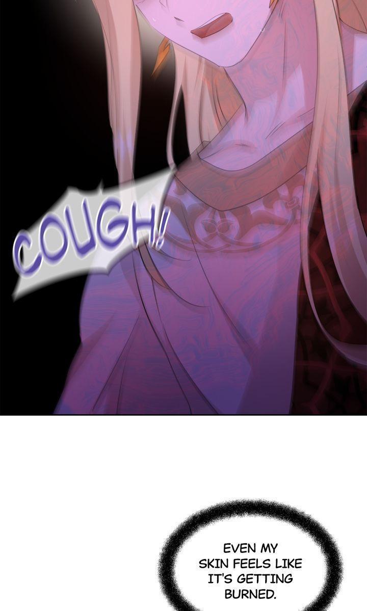 Read The Golden Forest Manga Online