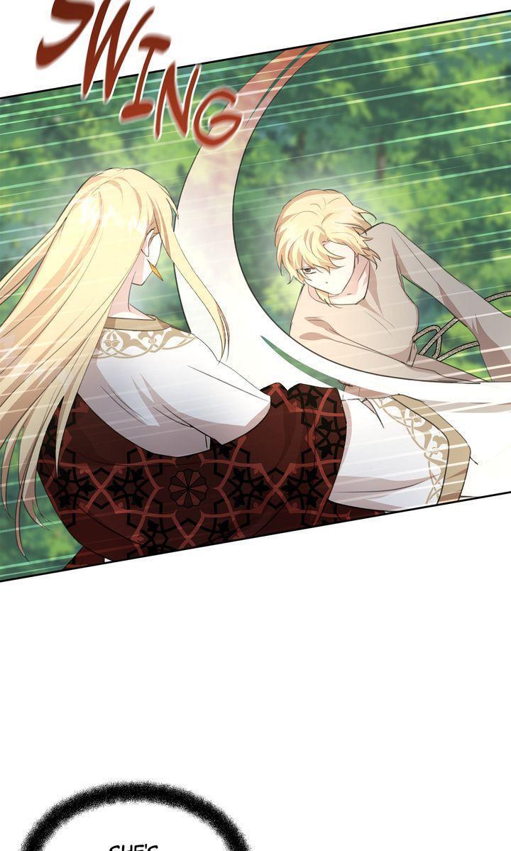 Read The Golden Forest Manga Online