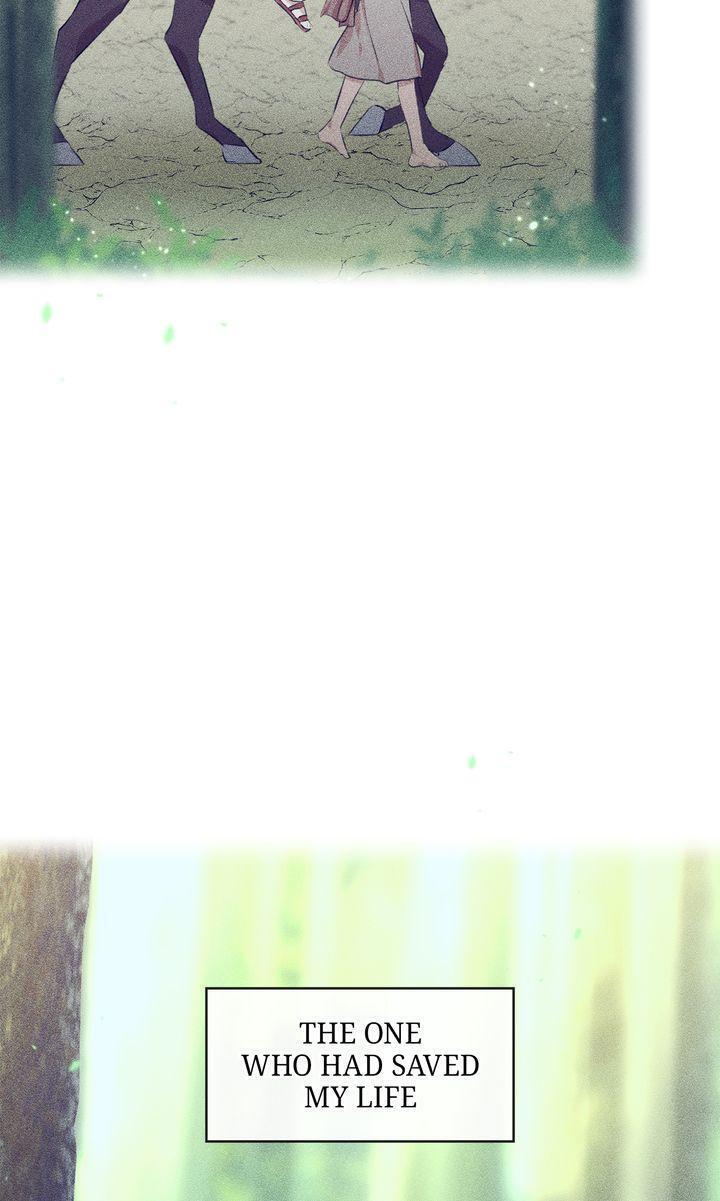 Read The Golden Forest Manga Online