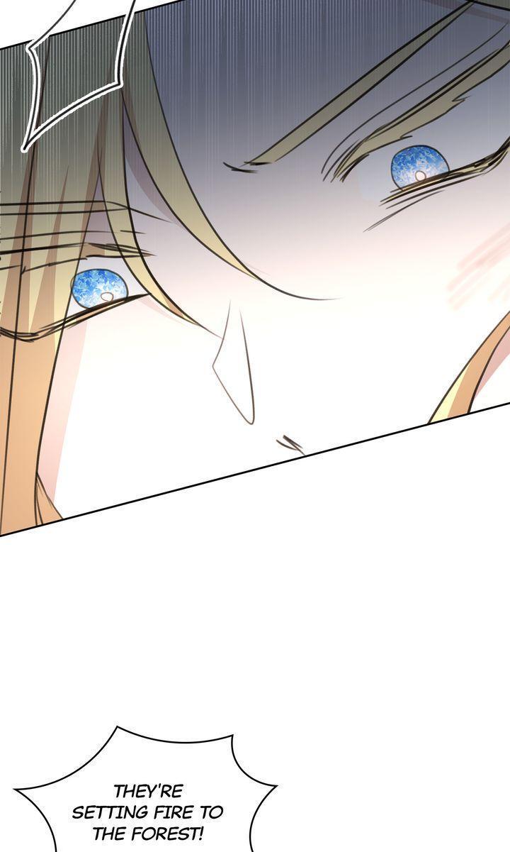 Read The Golden Forest Manga Online