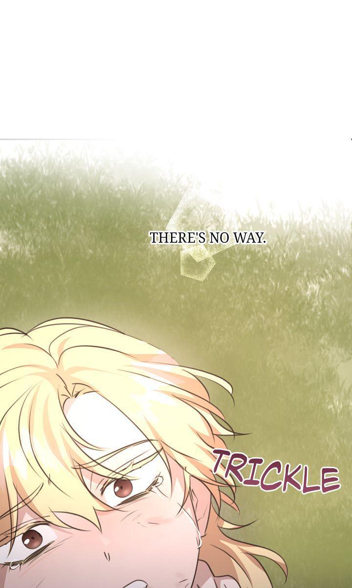 Read The Golden Forest Manga Online