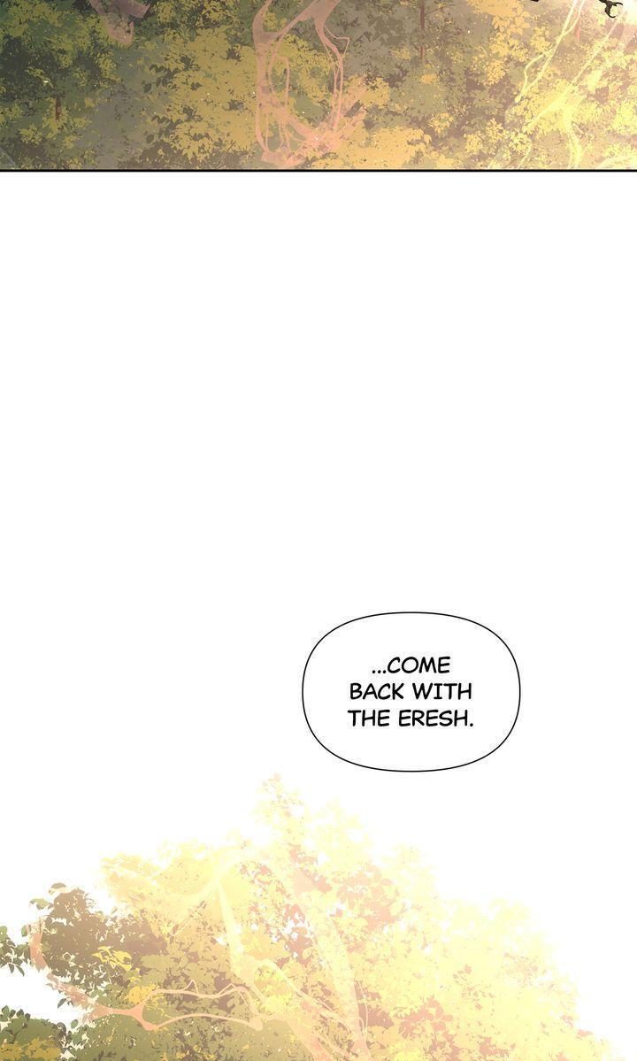 Read The Golden Forest Manga Online