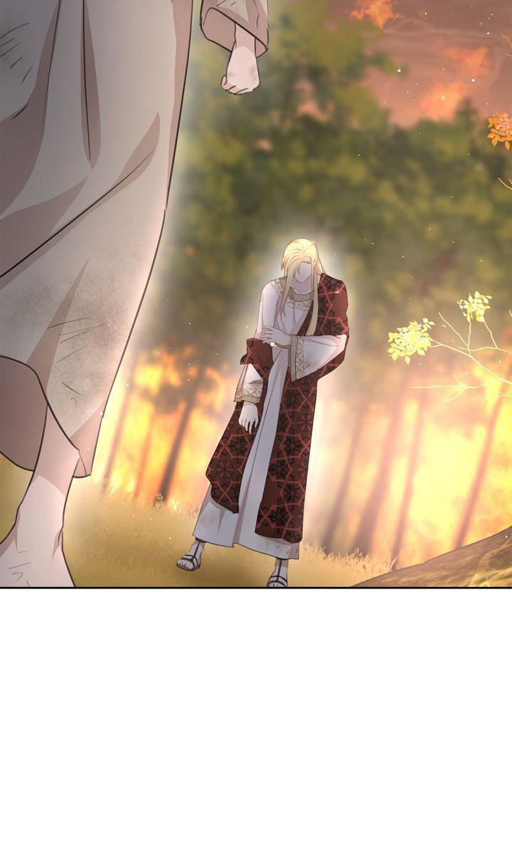 Read The Golden Forest Manga Online