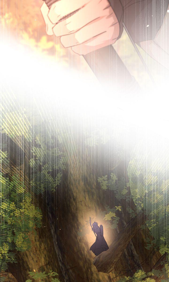 Read The Golden Forest Manga Online