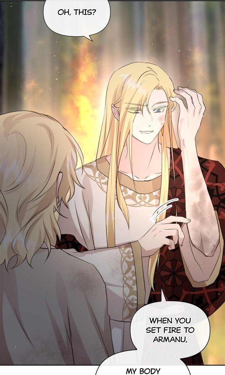 Read The Golden Forest Manga Online