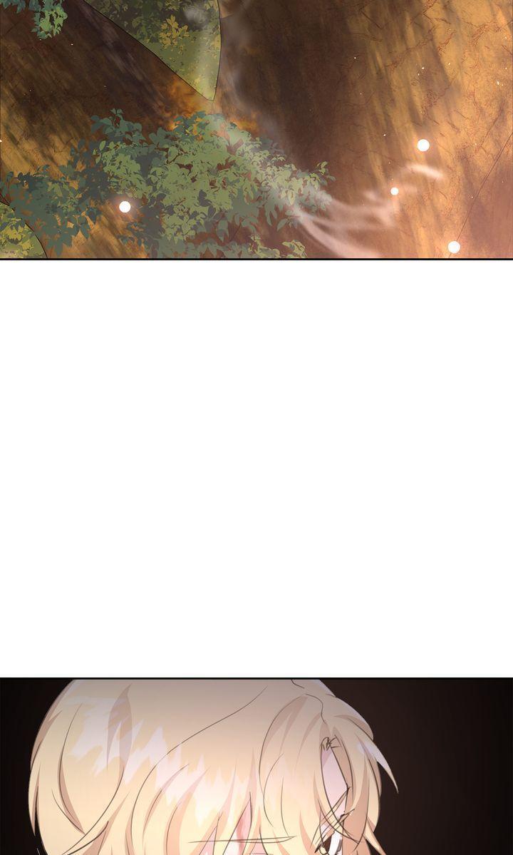 Read The Golden Forest Manga Online