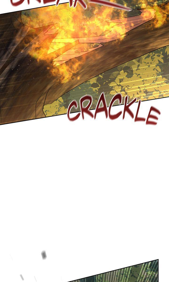 Read The Golden Forest Manga Online