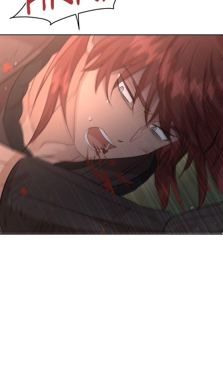 Read The Golden Forest Manga Online