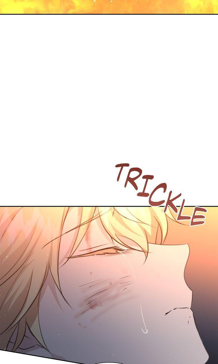 Read The Golden Forest Manga Online