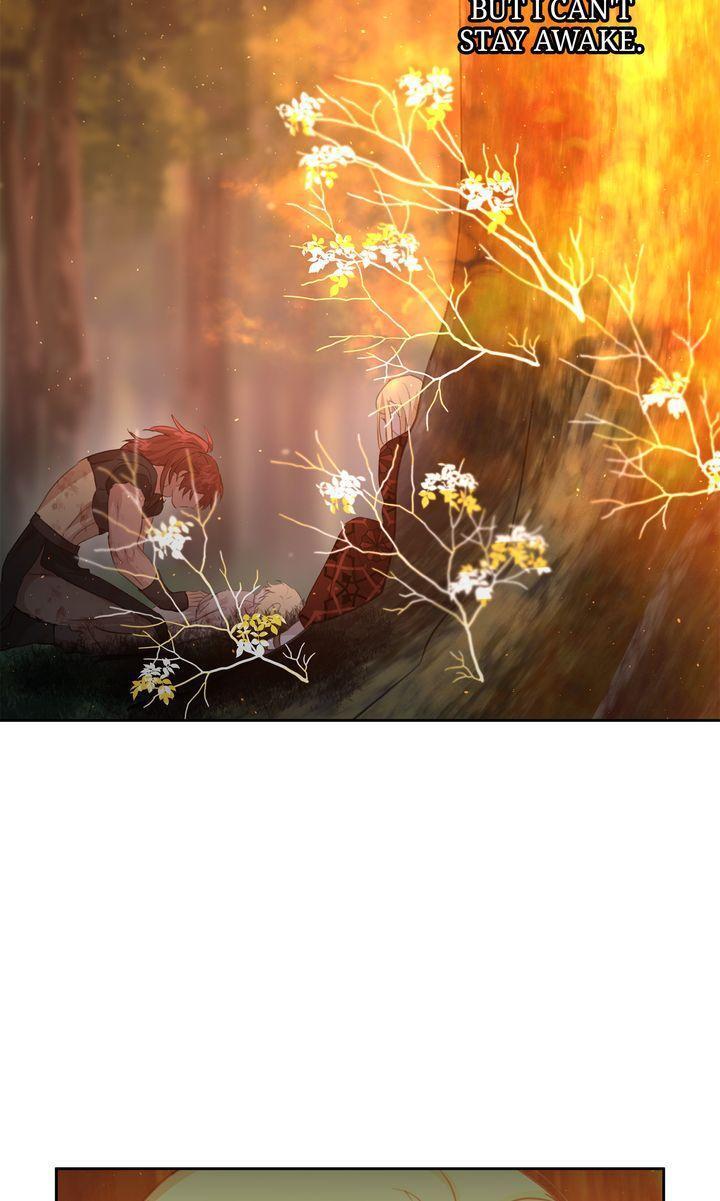 Read The Golden Forest Manga Online