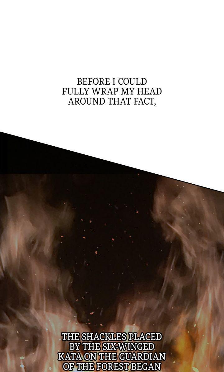 Read The Golden Forest Manga Online