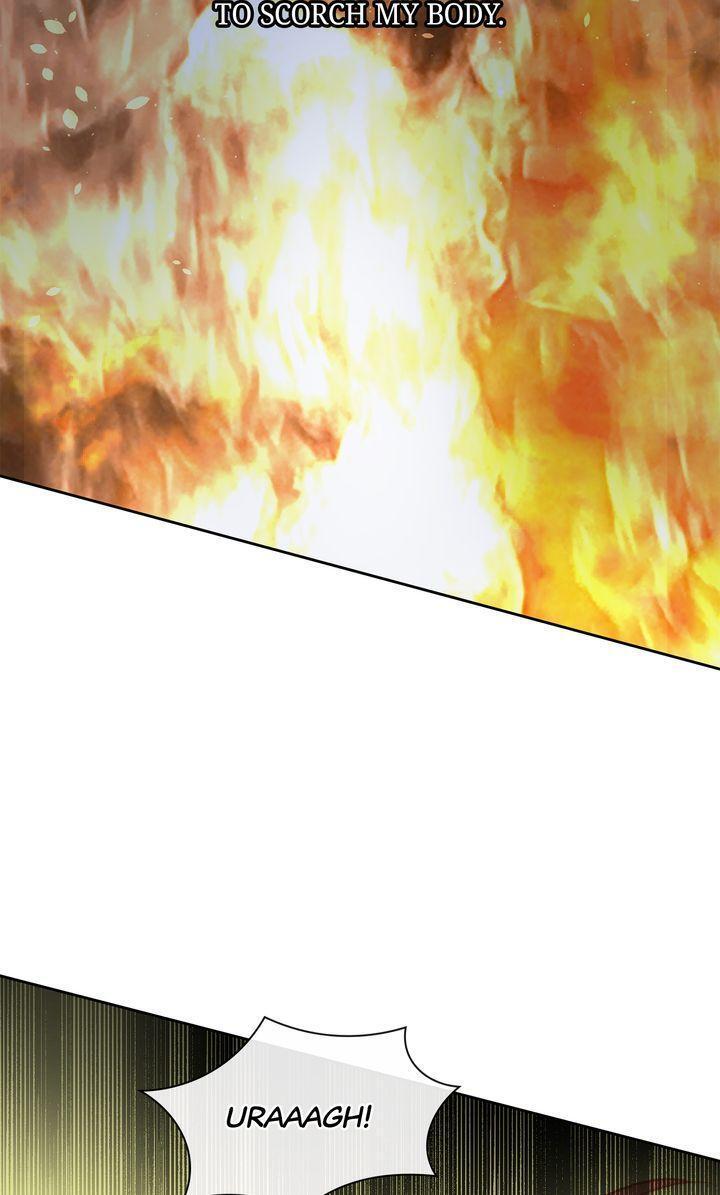 Read The Golden Forest Manga Online