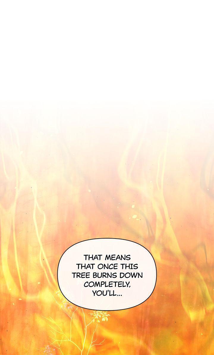 Read The Golden Forest Manga Online