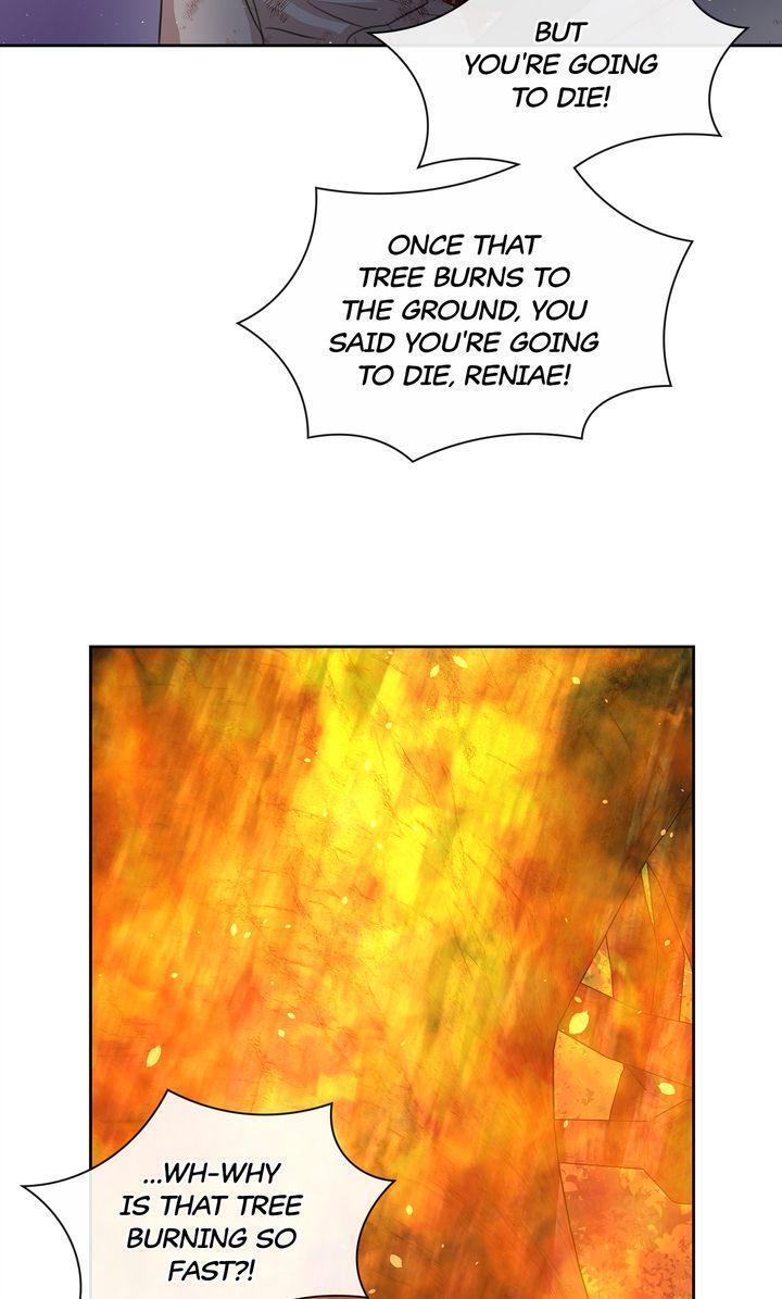 Read The Golden Forest Manga Online