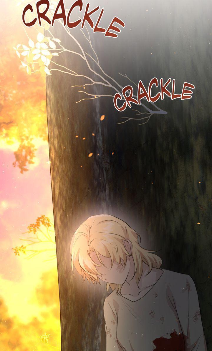 Read The Golden Forest Manga Online