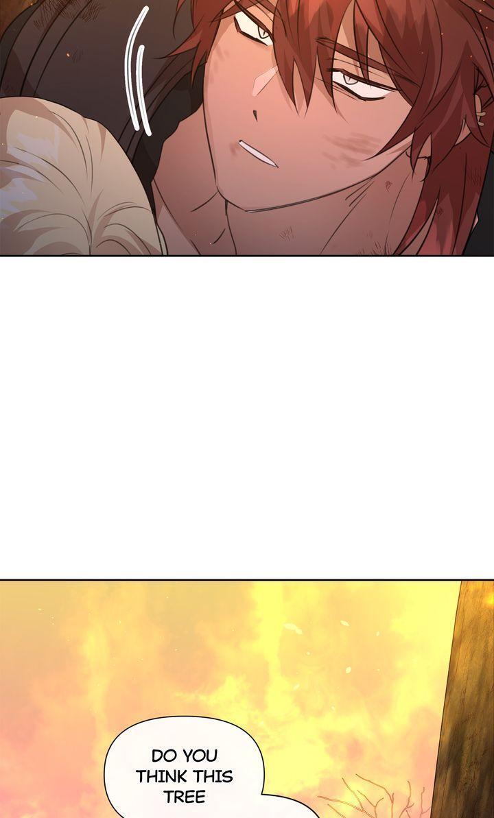 Read The Golden Forest Manga Online