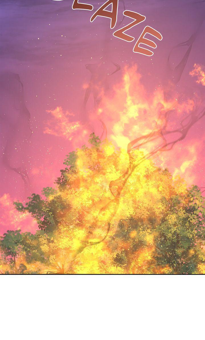 Read The Golden Forest Manga Online