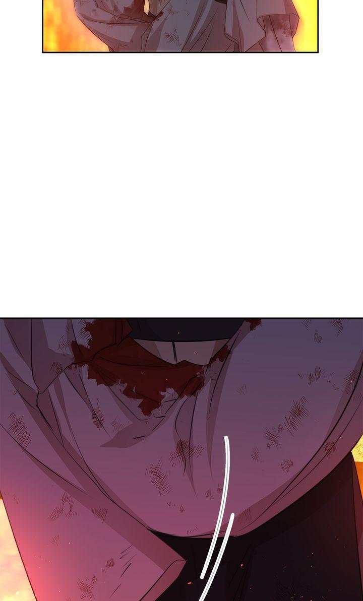 Read The Golden Forest Manga Online