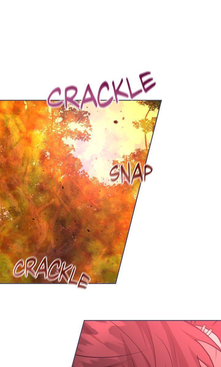 Read The Golden Forest Manga Online