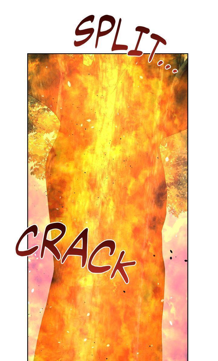 Read The Golden Forest Manga Online