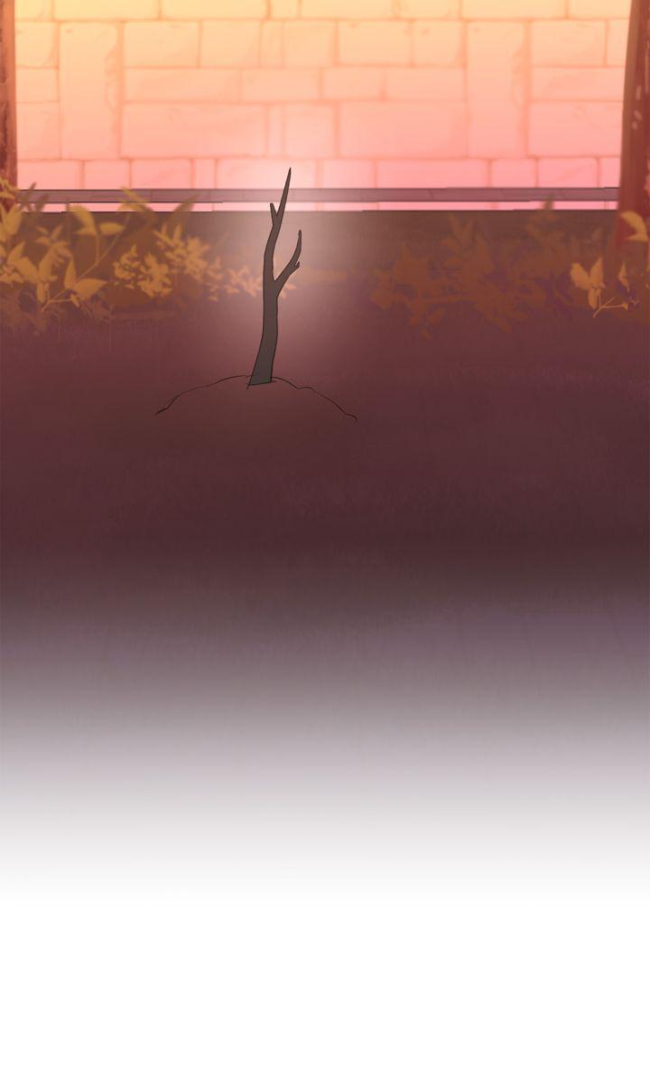 Read The Golden Forest Manga Online