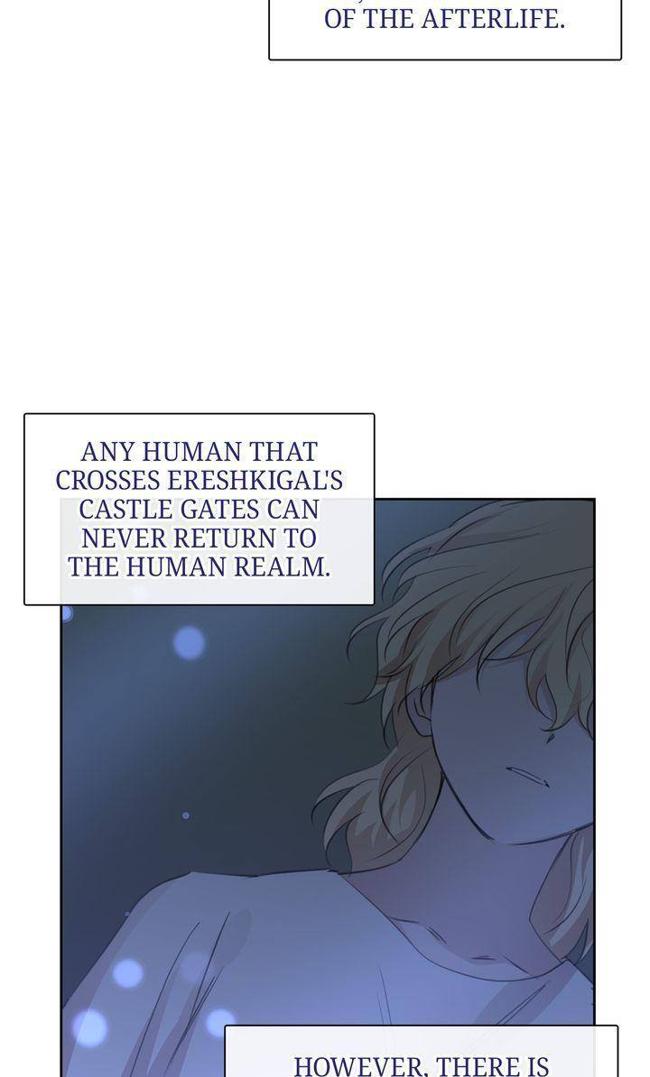 Read The Golden Forest Manga Online