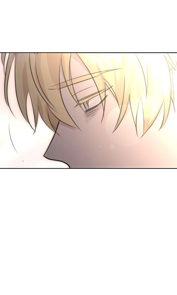 Read The Golden Forest Manga Online