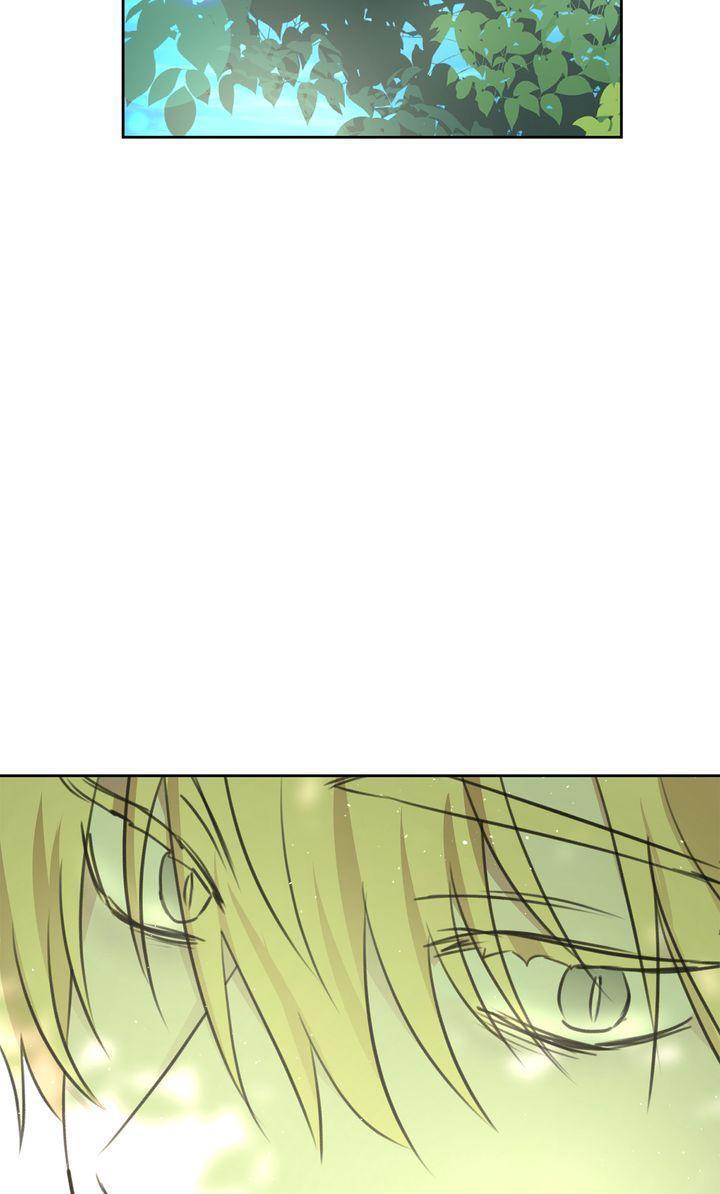 Read The Golden Forest Manga Online