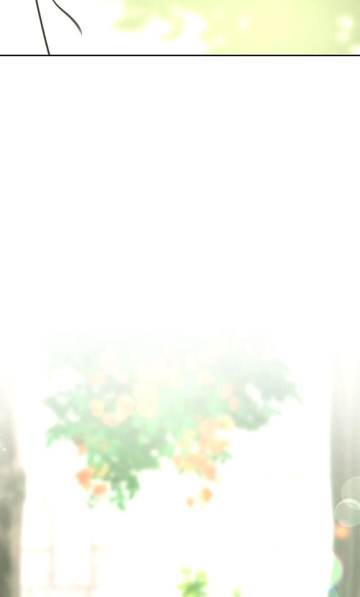 Read The Golden Forest Manga Online