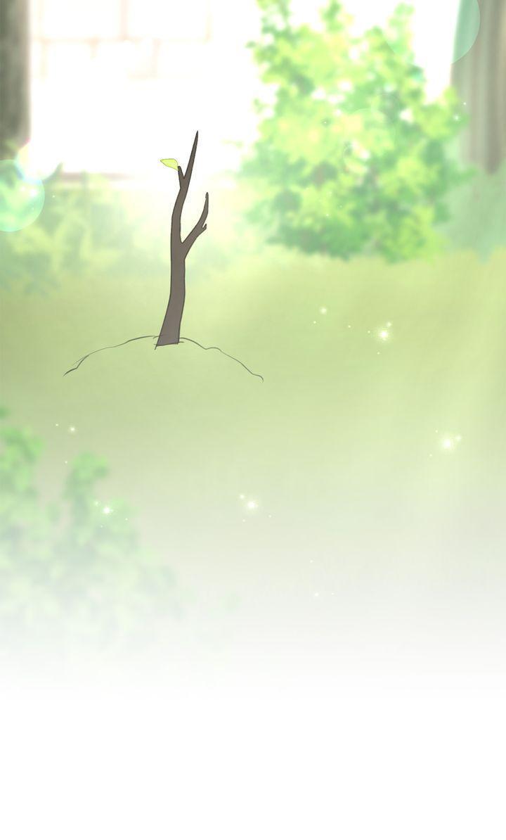 Read The Golden Forest Manga Online