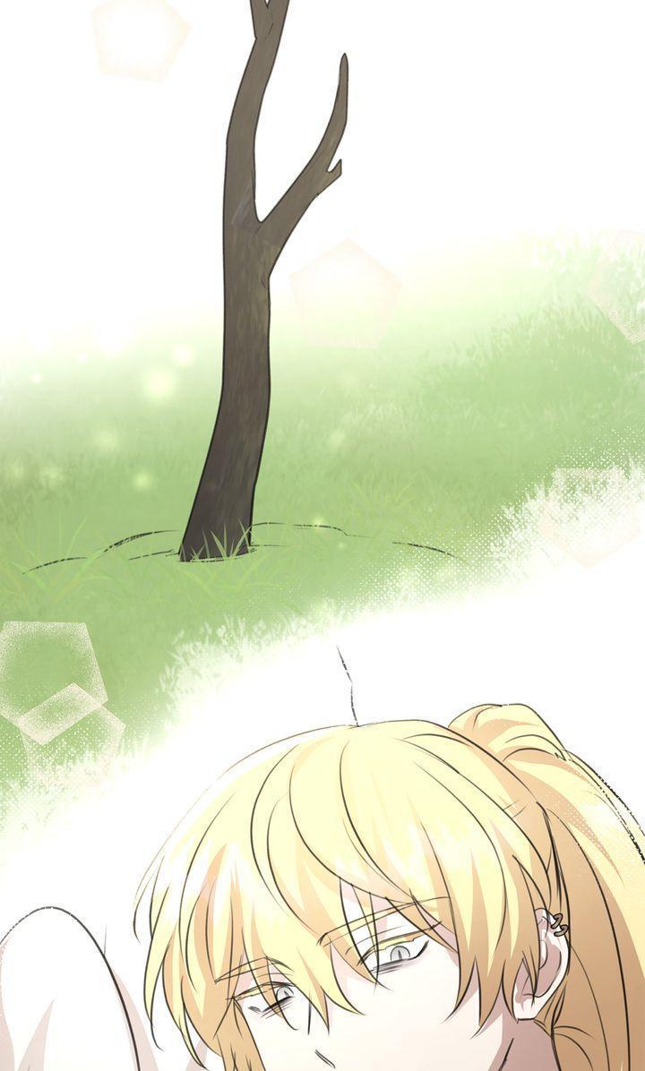 Read The Golden Forest Manga Online