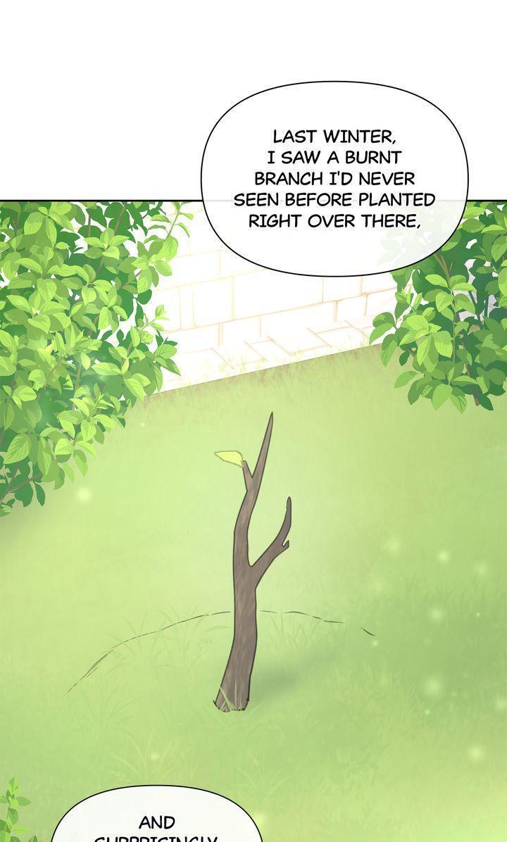 Read The Golden Forest Manga Online