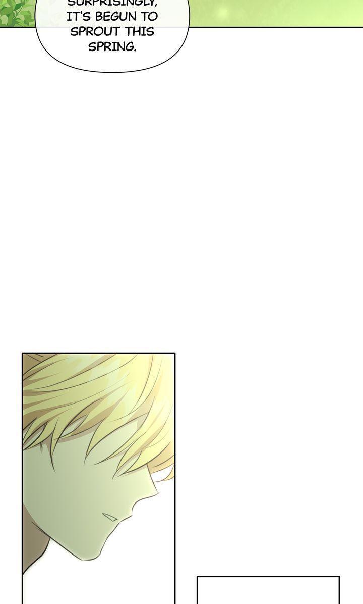 Read The Golden Forest Manga Online