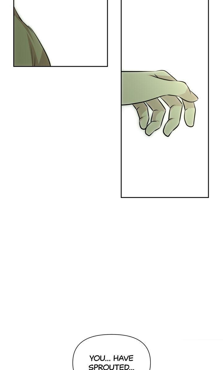 Read The Golden Forest Manga Online