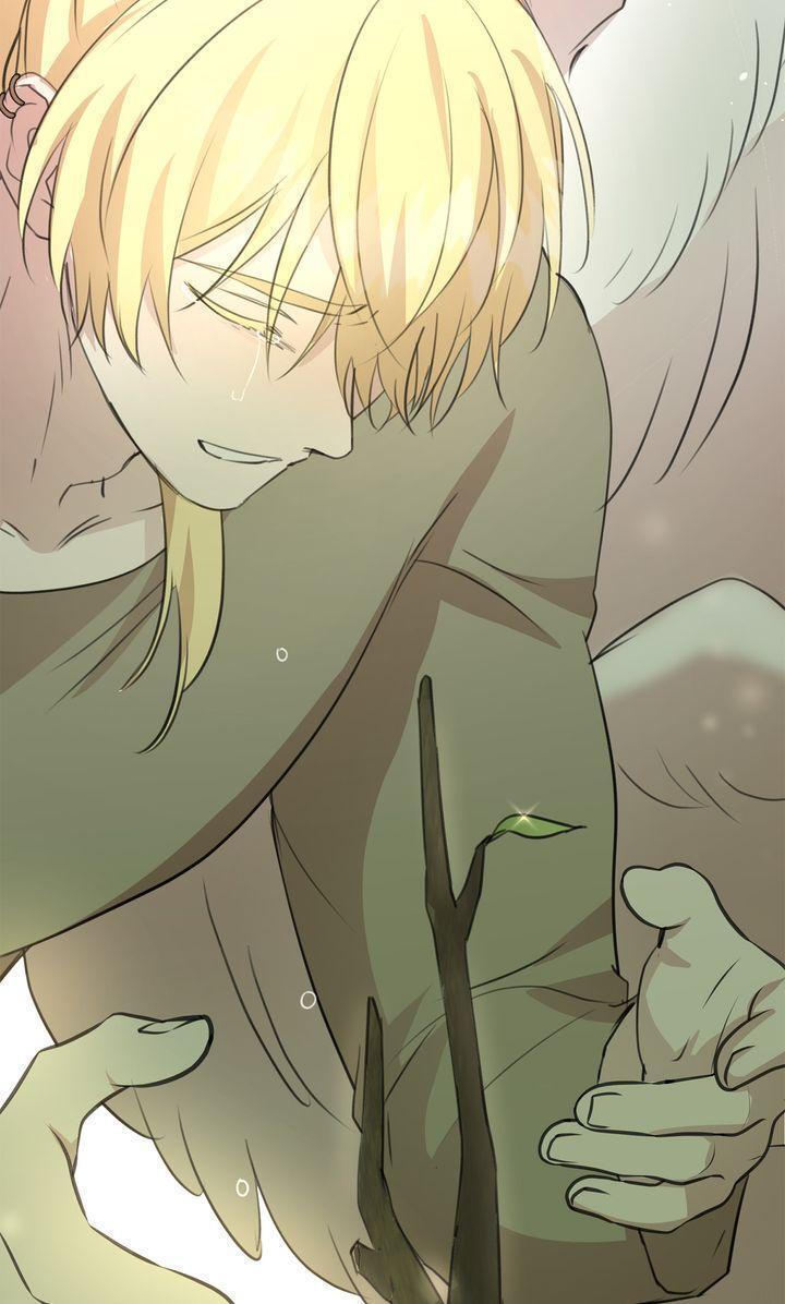 Read The Golden Forest Manga Online