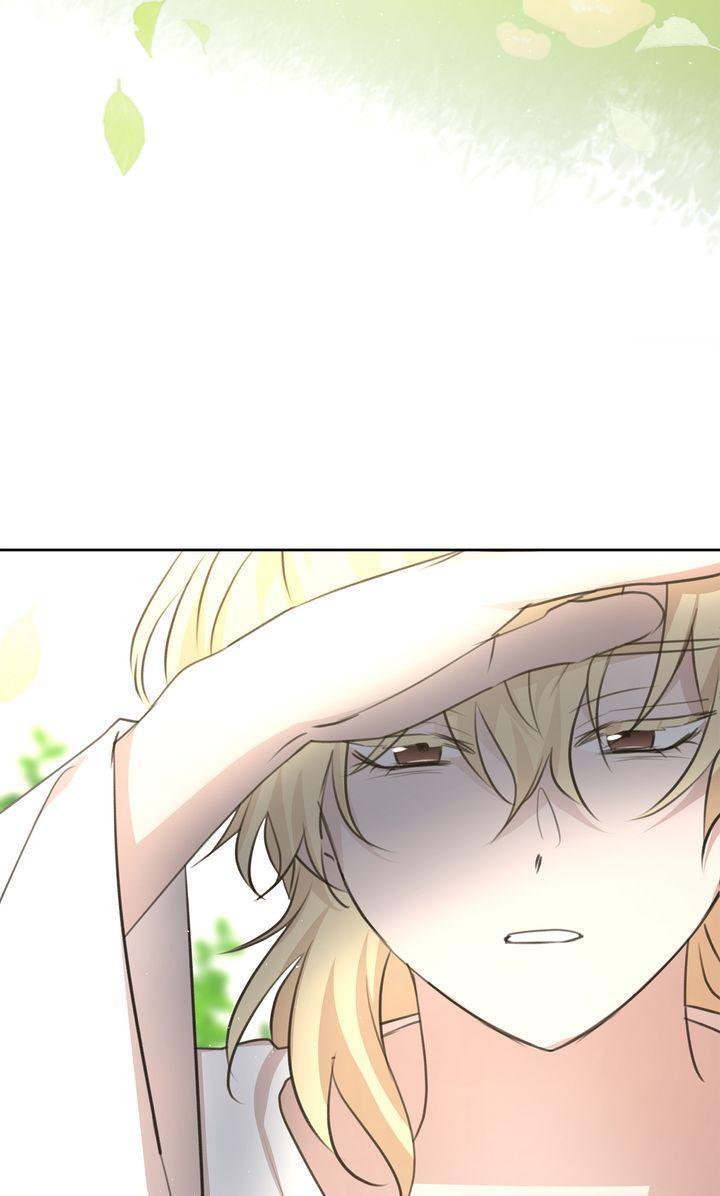 Read The Golden Forest Manga Online