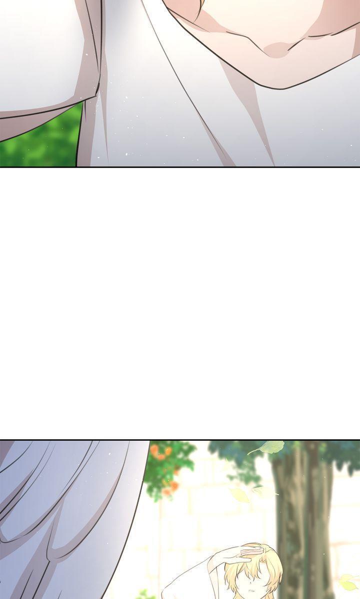 Read The Golden Forest Manga Online