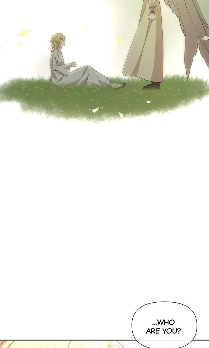 Read The Golden Forest Manga Online