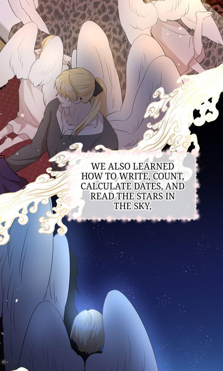 Read The Golden Forest Manga Online