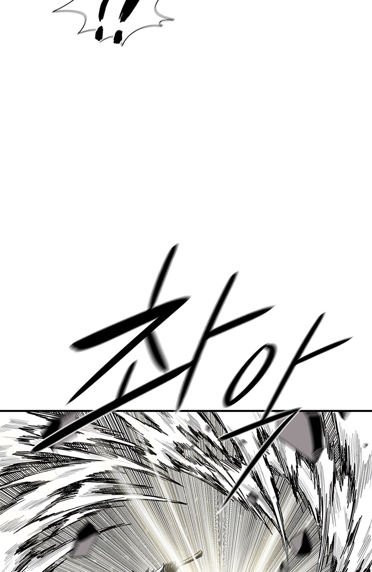 Read The Legend of the Northern Blade Manga Online