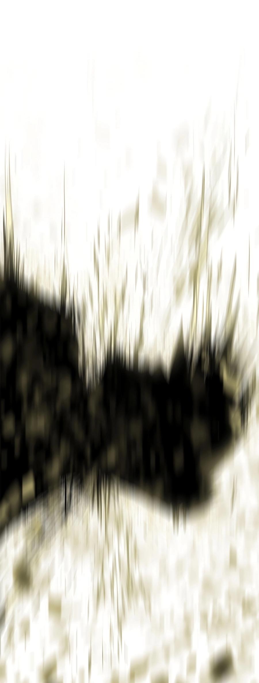 Read The Legend of the Northern Blade Manga Online